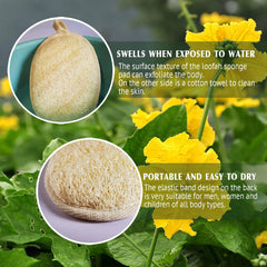 EcoPure Natural Exfoliating Loofahs (2-Pack)